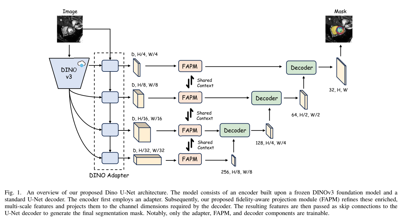 Exploiting High-Fidelity Dense Features from Foundation Models for ...