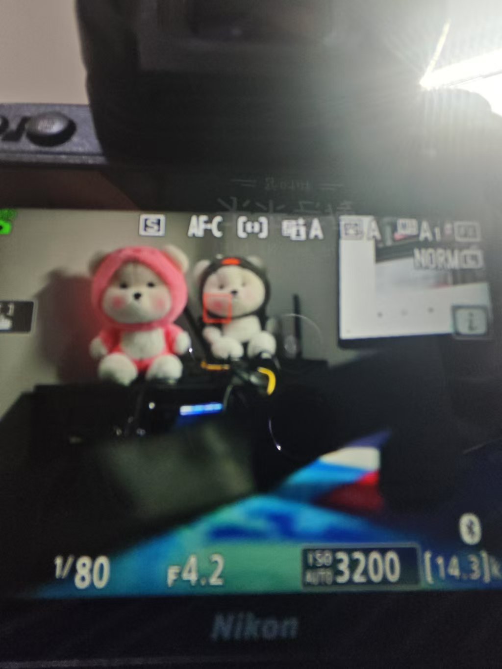 20241202摄影学习打卡：对焦