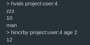 image-20251128104411428