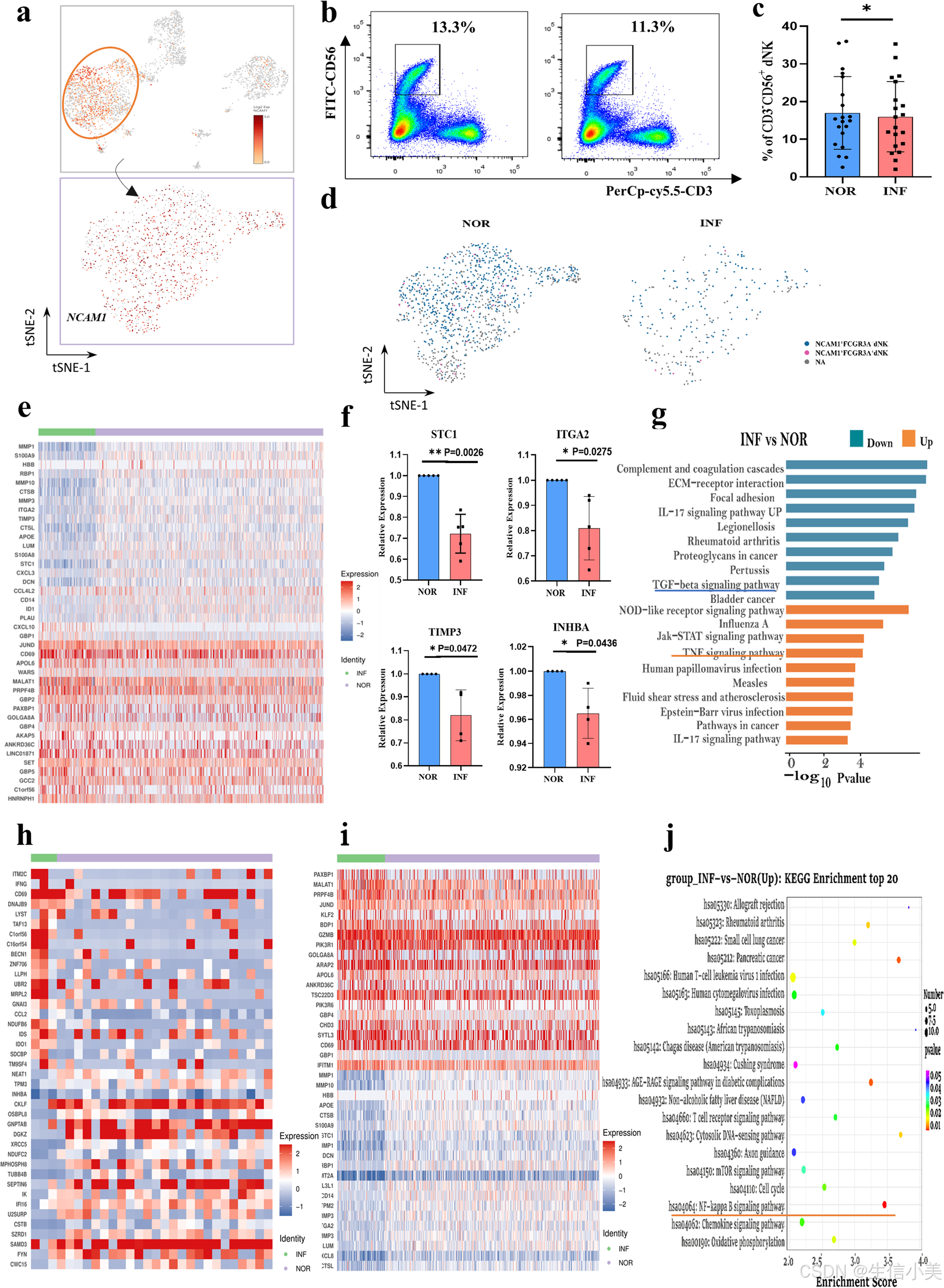 Single-cell transcriptomic analysis of decidual immune cell ...