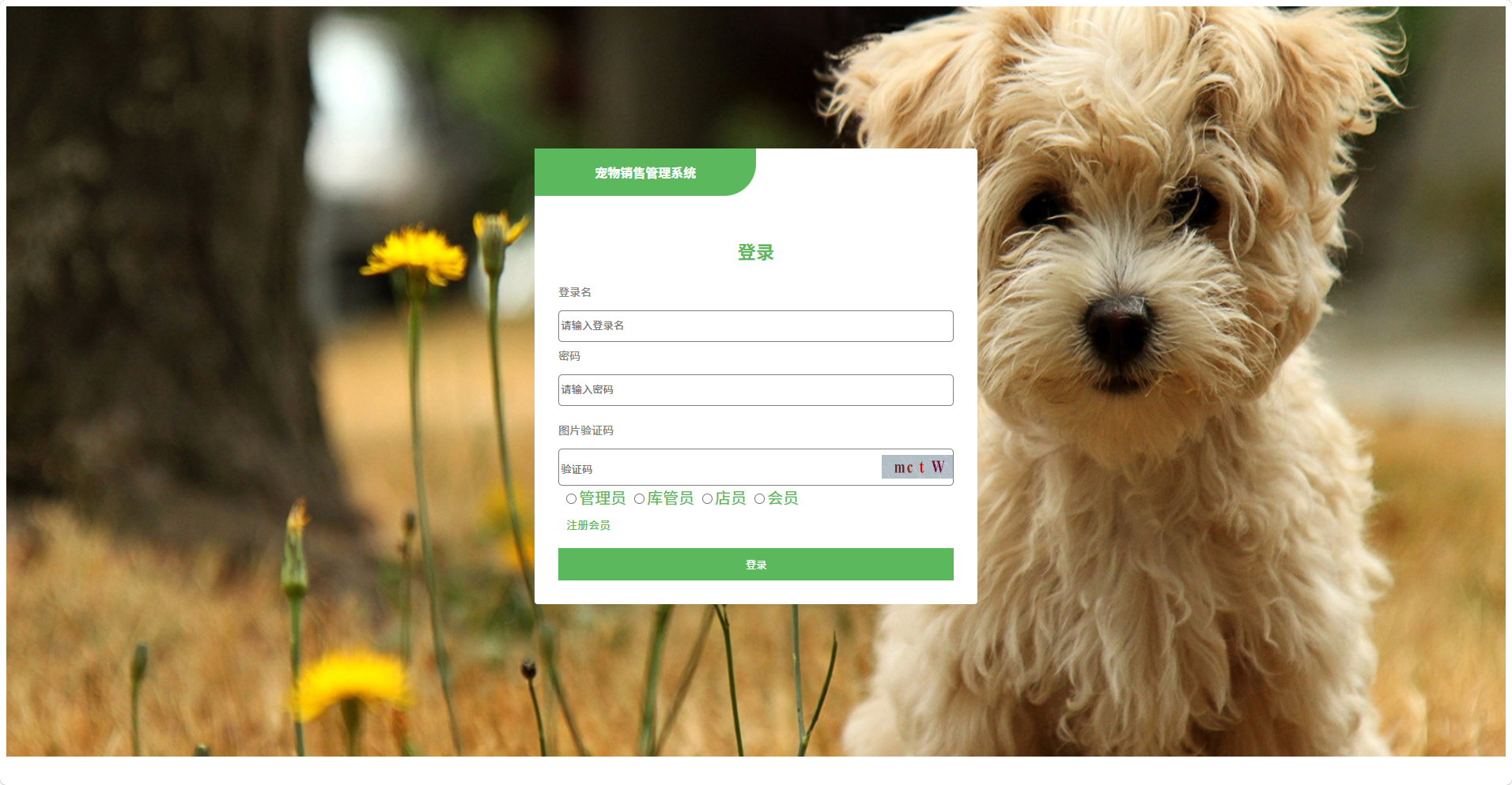 基于Springboot + vue的宠物销售管理系统的设计与实现 源码+文档-CSDN博客