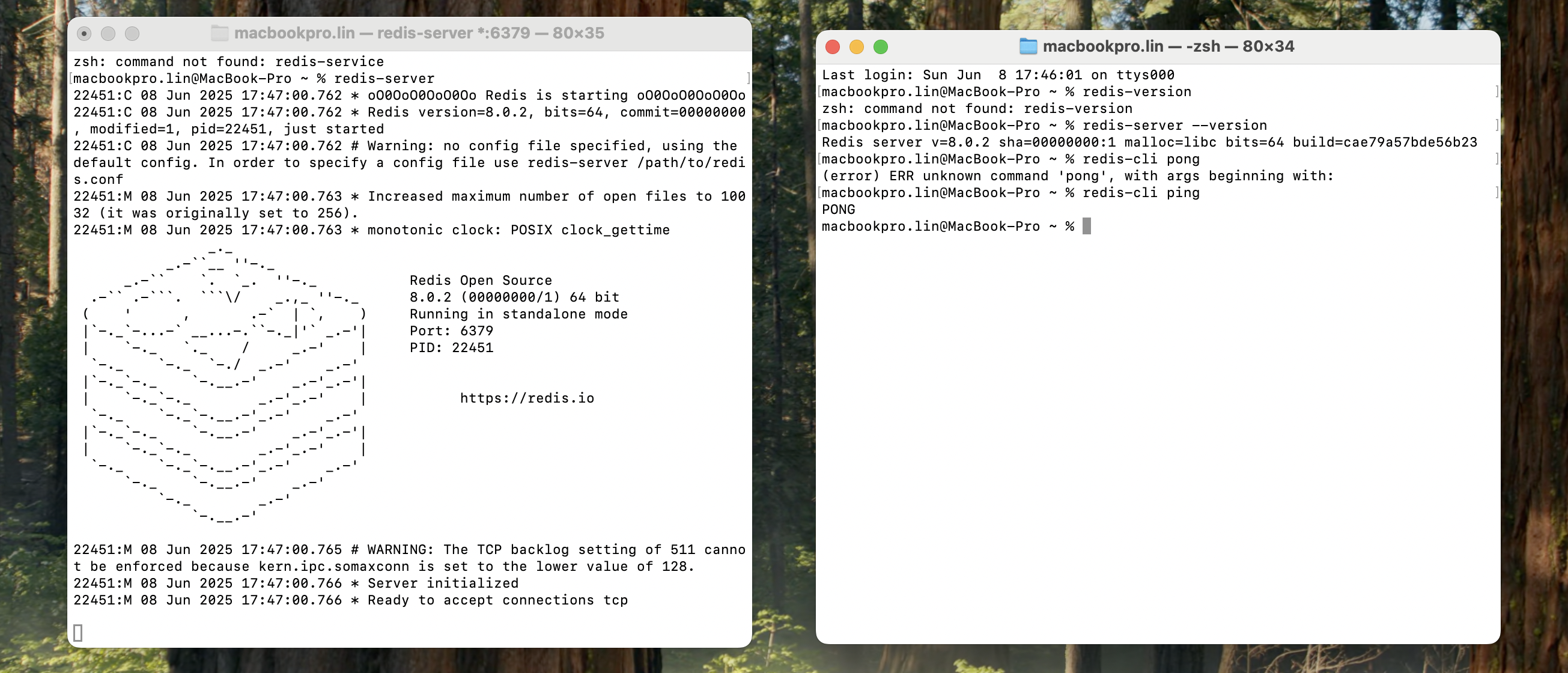 MacBook 苹果笔记本电脑安装redis保姆级教程（超详细带图文）_mac 安装redis