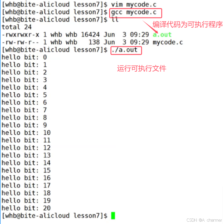 Linux 开发：sudo、gcc/g++ 与构建解析_sudo gcc是编译吗