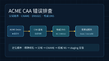 ACME CAA错误排查流程图