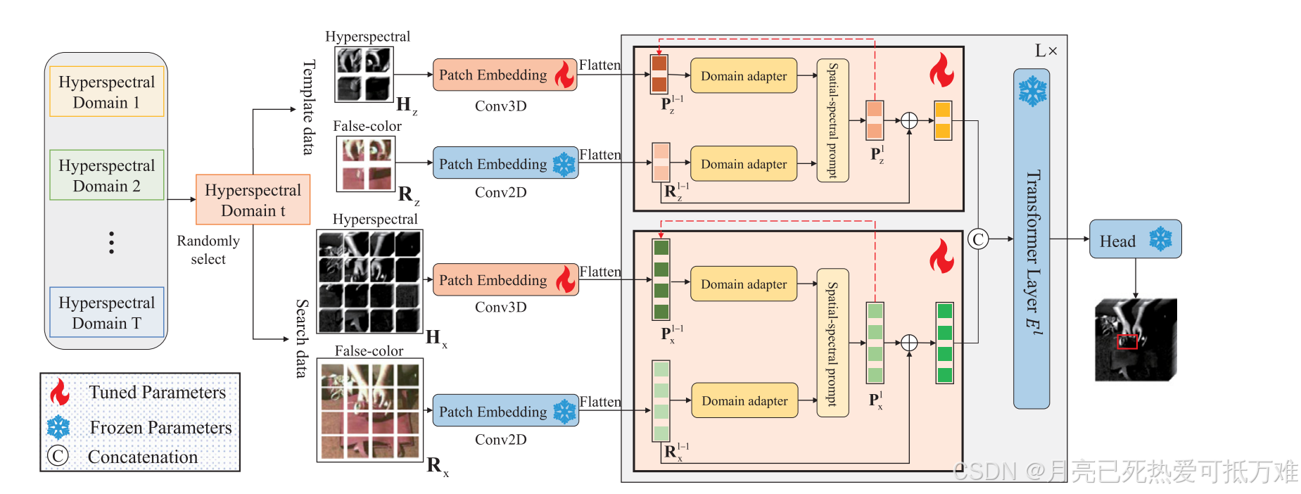 Multi-domain universal representation learning for hyperspectral object ...