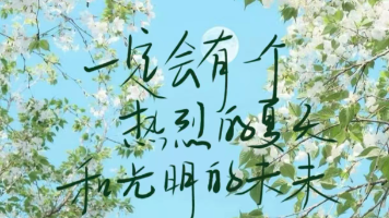 文章图片