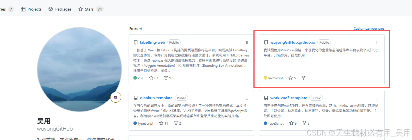 Vue3 + VitePress 搭建部署组件库文档平台(结合 Element Plus 与 Arco Design Vue)—— 超详细图文教程