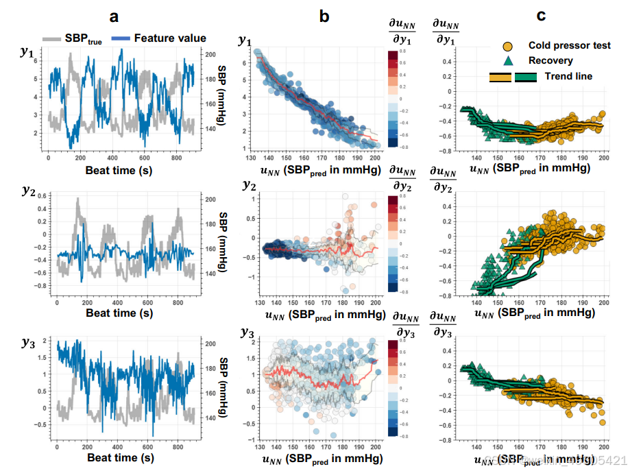 Parameters of the Taylor’s approximation of BP using physiological input features
