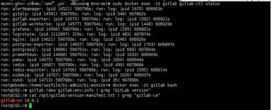 使用gitlab指令查询版本号