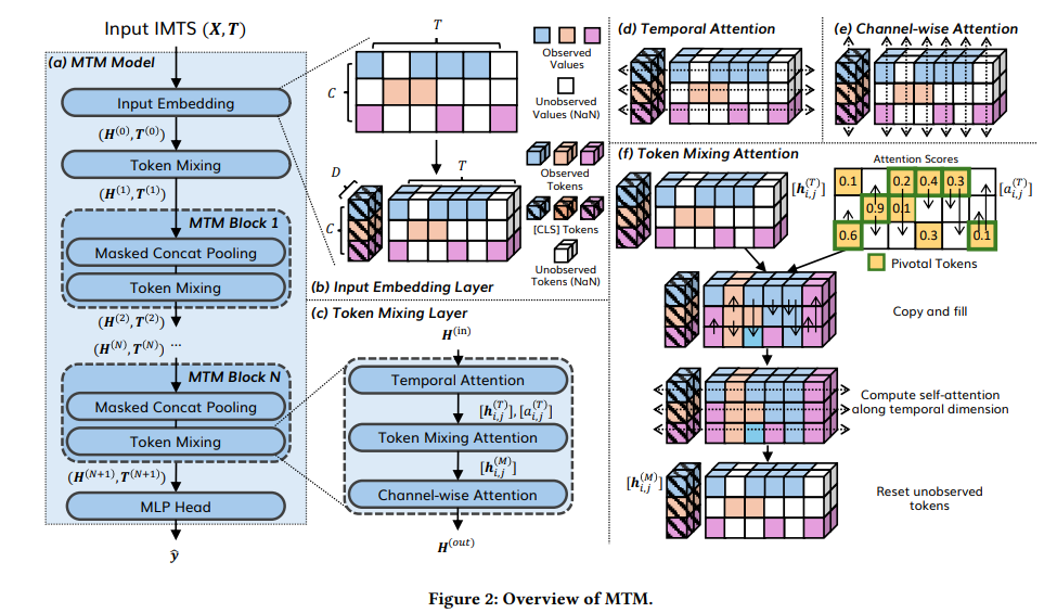 Overview of MTM.