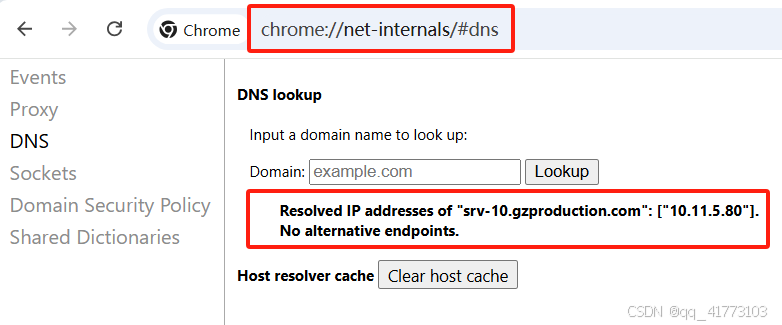 Chrome浏览器dns缓存查询示例