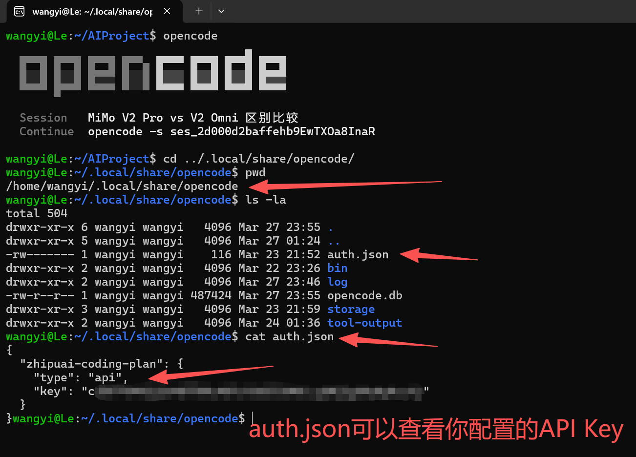 查看你自己配置的API Key
