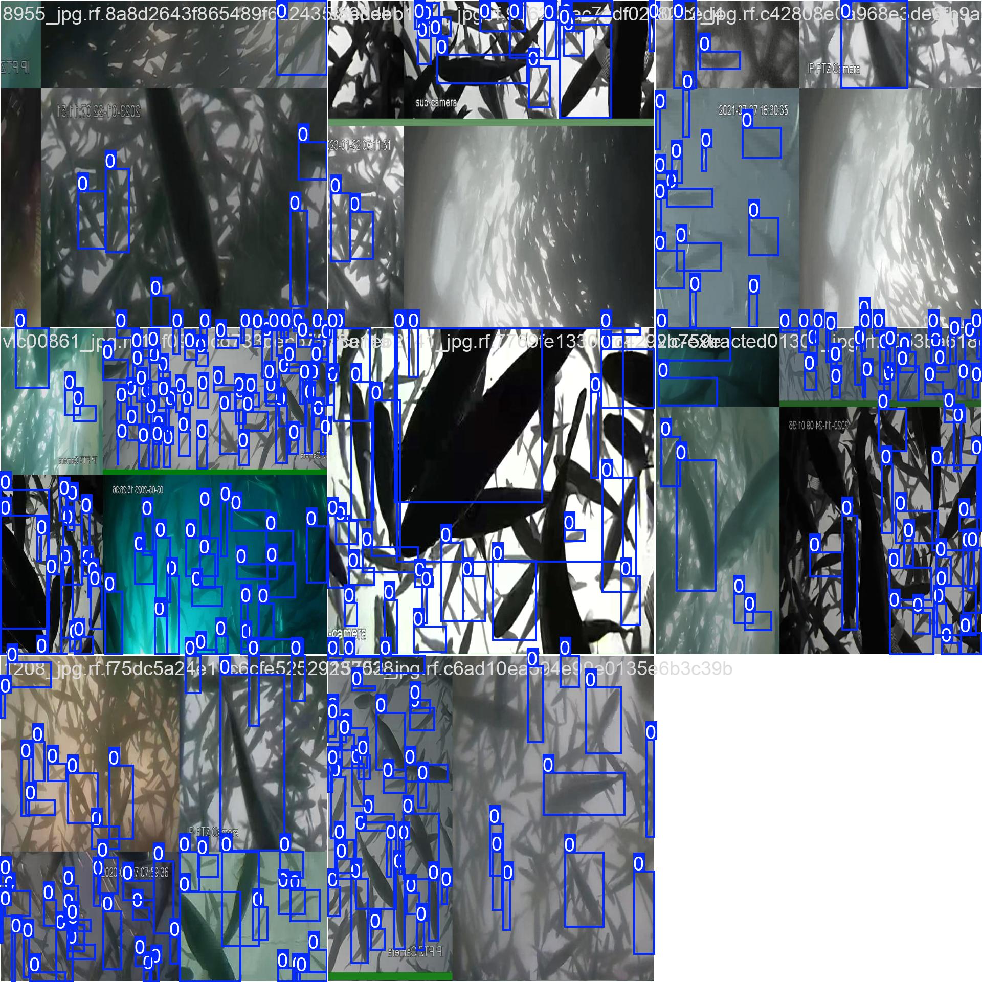 YOLOv8水下鱼类识别检测系统（项目源码+YOLO数据集+模型权重+UI界面+python+深度学习+环境配置）_鱼类算法识别-CSDN博客