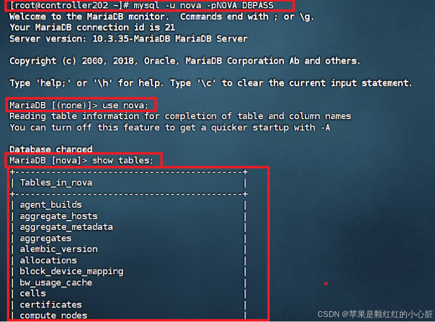 云计算实训（实验5、实验6）_nova api登录到host节点