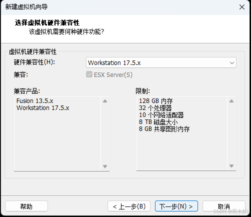 Vmware安装麒麟kylin linux v10服务器_银河麒麟v10镜像iso下载