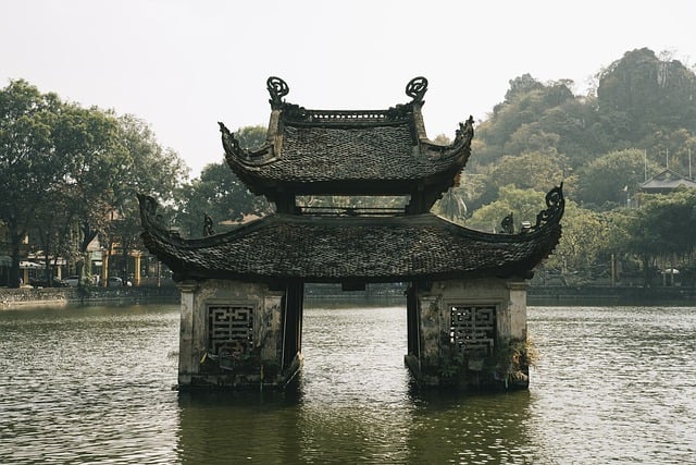 文章图片