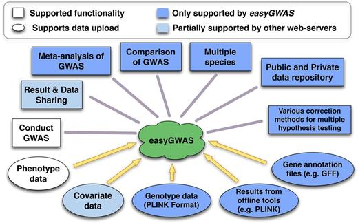 easyGWAS 功能与其他当前在线 GWAS 工具的比较示意
