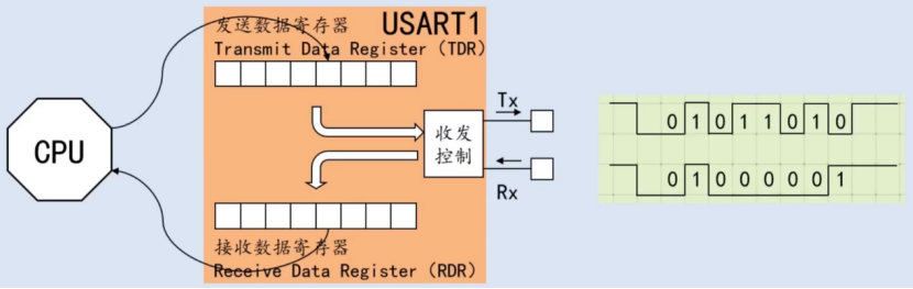 【STM32】江科大STM32小白养成记