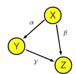 图结构显示:X → Y → Z