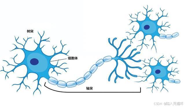 智能语音处理:(二)神经网络基础_语音处理神经网络-CSDN博客