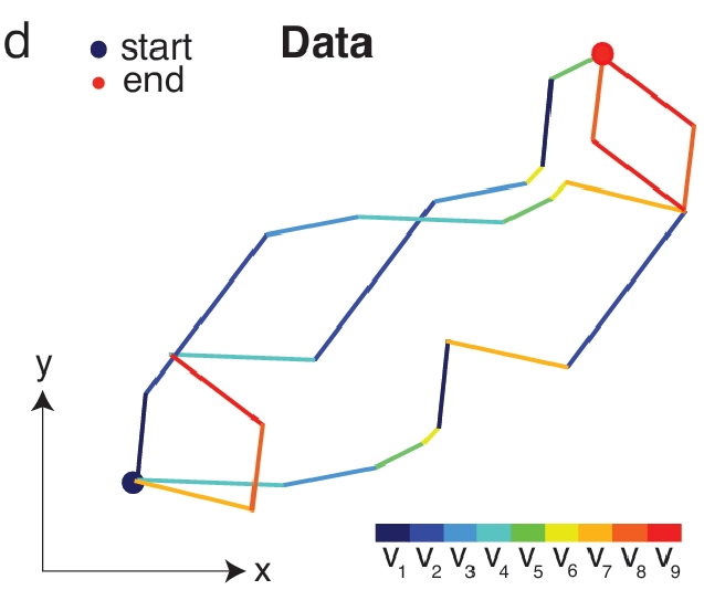 23-NeurIPS-Self-Supervised Learning of Representations for Space Generates Multi-Modular Grid Cells
