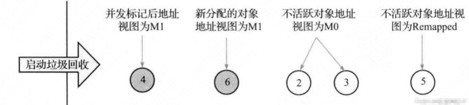 Java程序员廖志伟