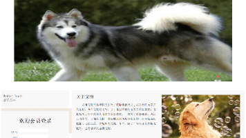 文章图片