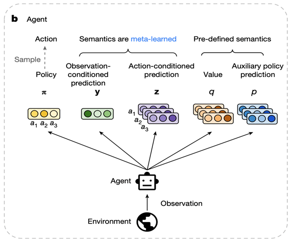 > 🖼️ **[此处可插入博客图片：Agent 与 Meta-network 架构图 (对应论文 Fig. 1b)]**