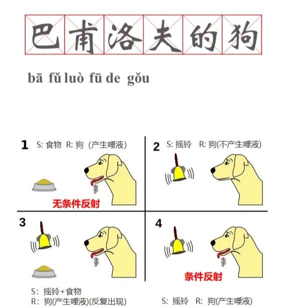 抛砖引玉:再谈巴甫洛夫的狗,前馈与rnn的反射之争与融合