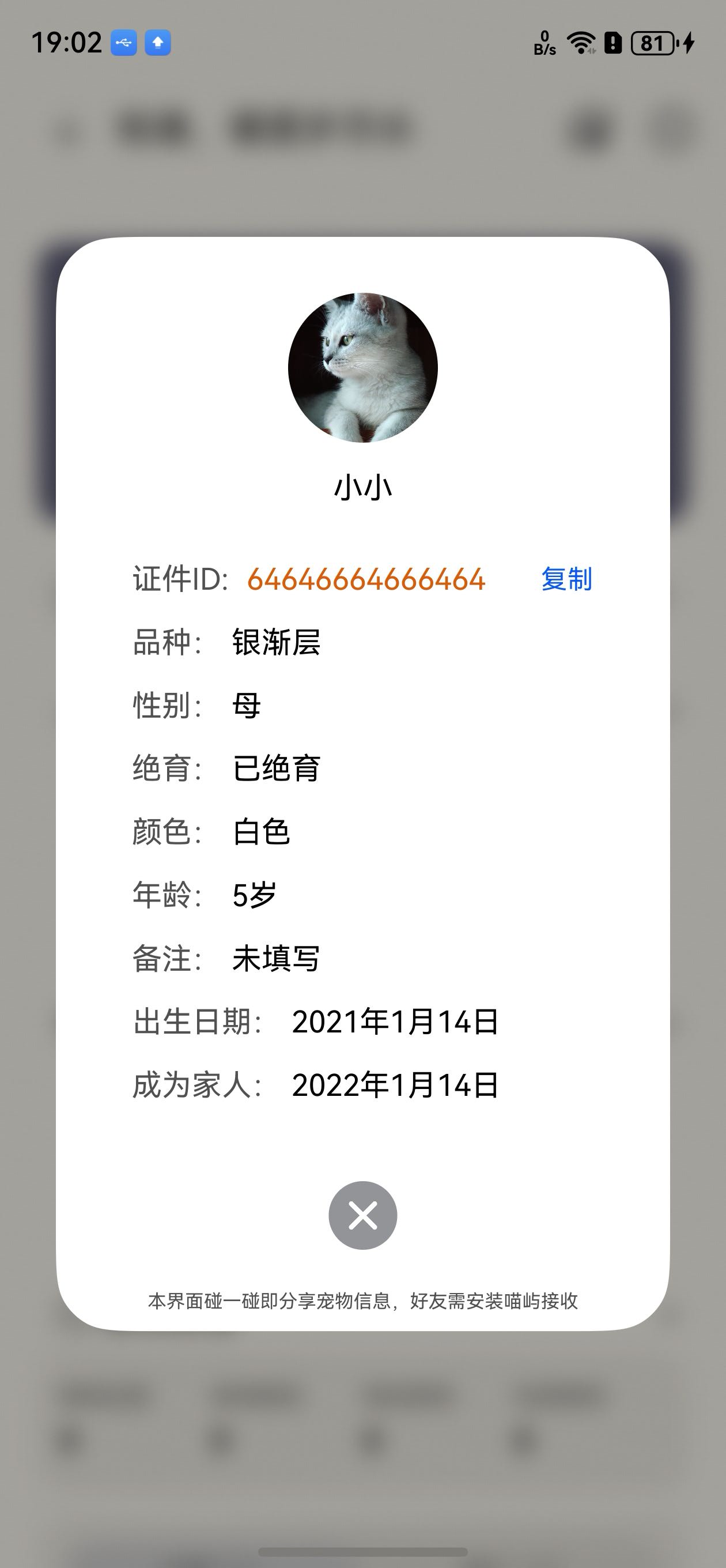 宠物信息界面设置碰一碰监听