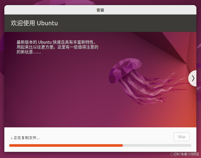 Ubuntu安装过程