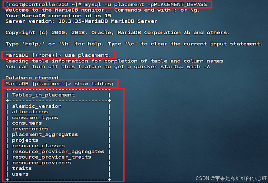 云计算实训（实验5、实验6）_nova api登录到host节点