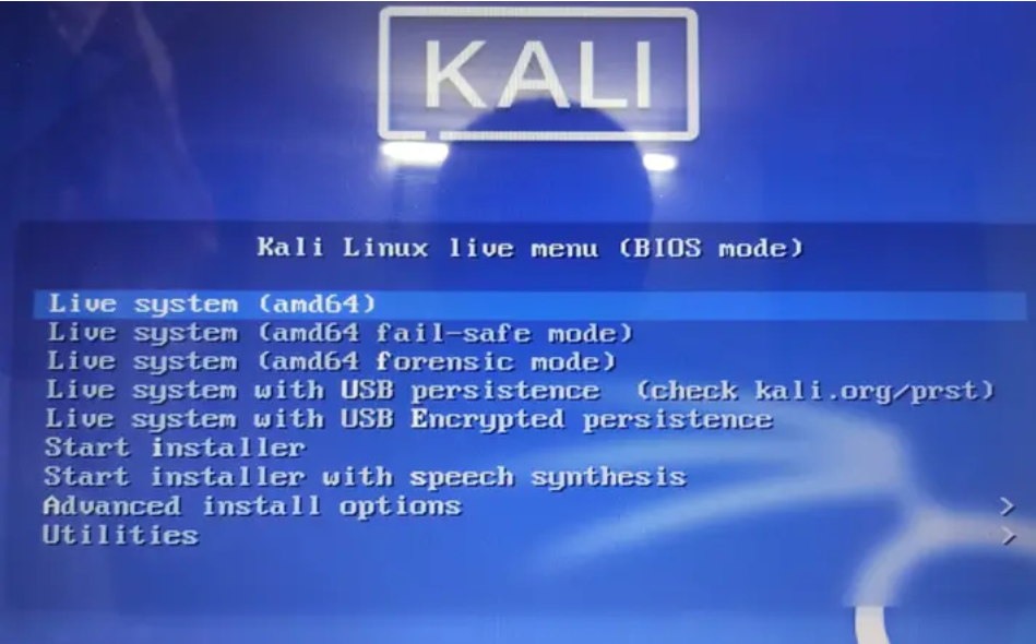 Kali Linux 系统安装到U盘【保姆级教程，小白也可以完成】_kali安装到u盘