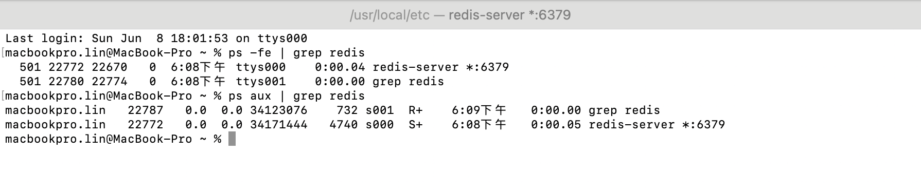 MacBook 苹果笔记本电脑安装redis保姆级教程（超详细带图文）_mac 安装redis