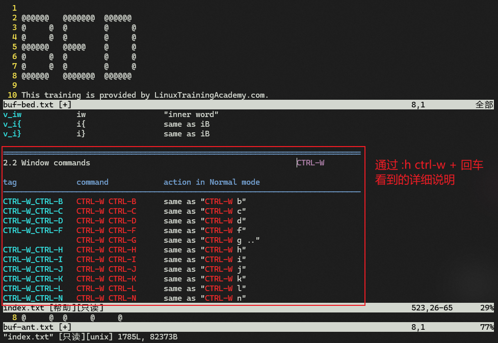 【Vim Masterclass 笔记25】S10L45：Vim 多窗口的常用操作方法及相关注意事项