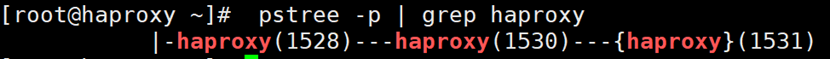 HAProxy