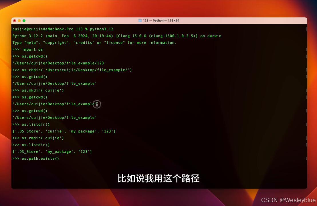 os模块 文件目录操作 进程管理_python学生系统