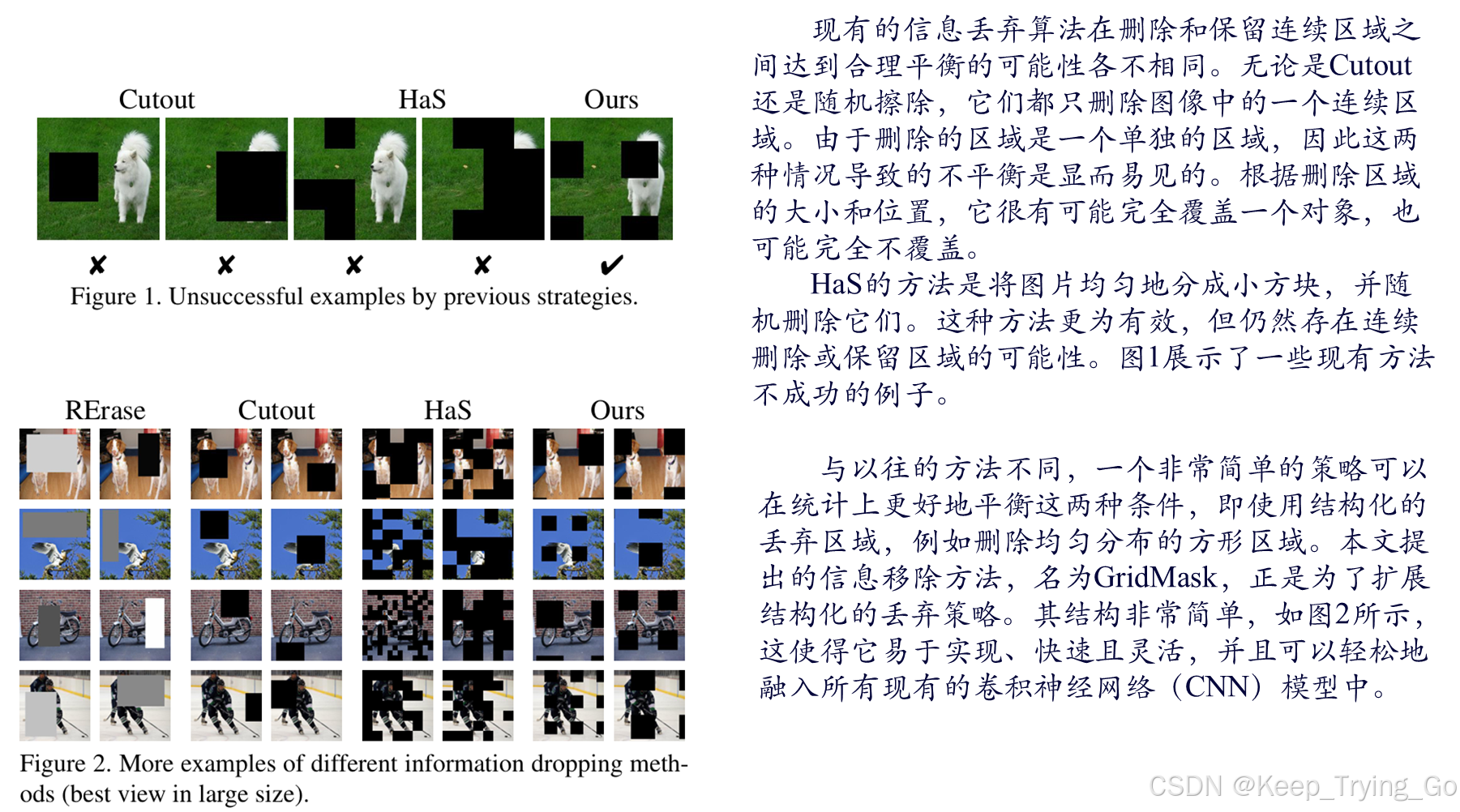 论文GridMask Data Augmentation详解-CSDN博客