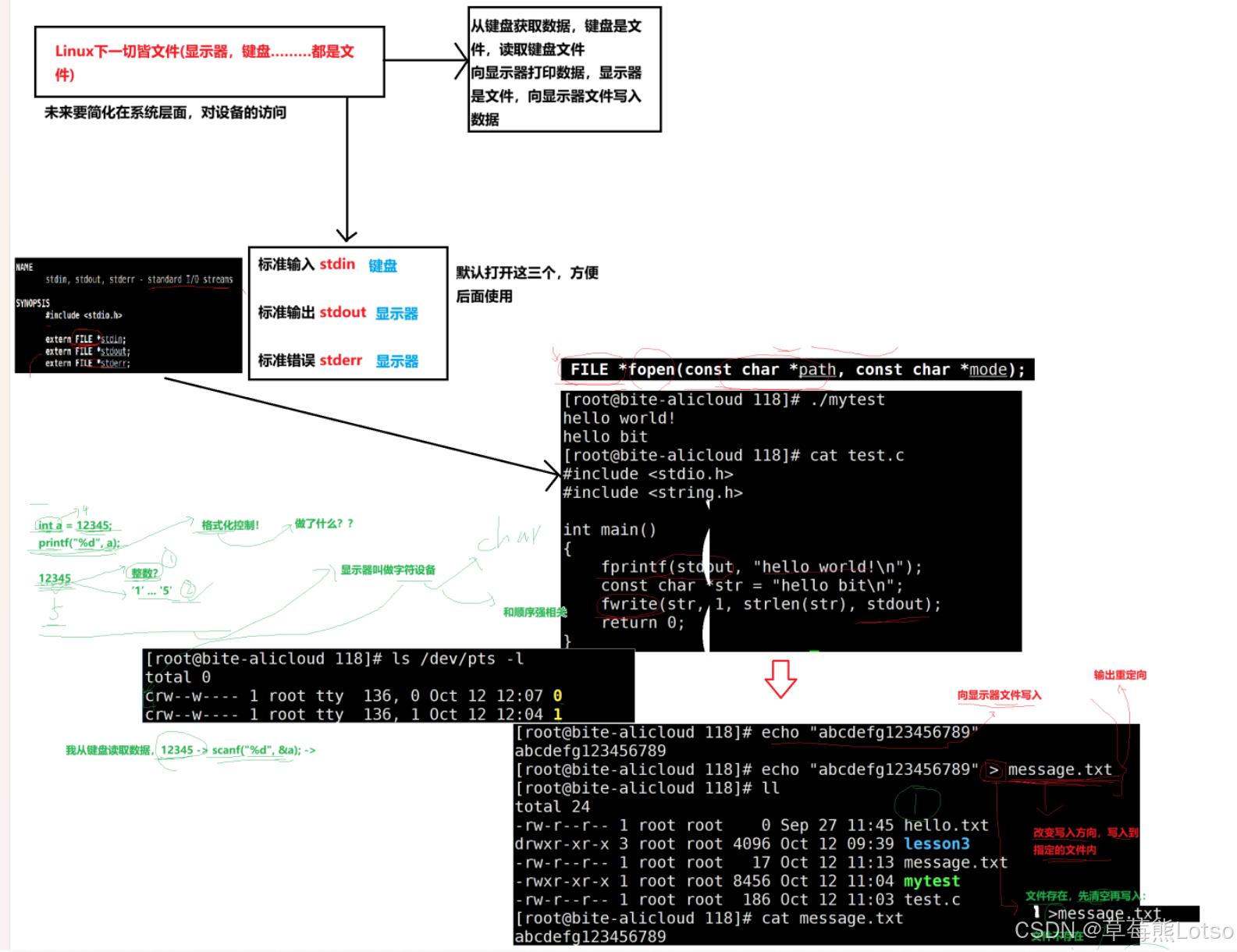 Linux 新手避坑指南:7 个高频指令精讲 + 重定向从入门到精通(含完整选项 + 设备文件实操)-CSDN博客