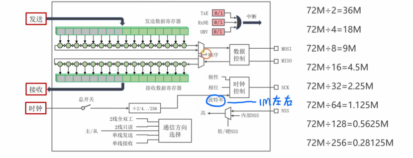【STM32】江科大STM32小白养成记