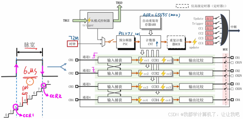 【STM32】江科大STM32小白养成记