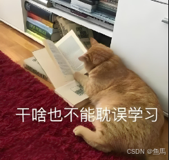 请添加图片描述