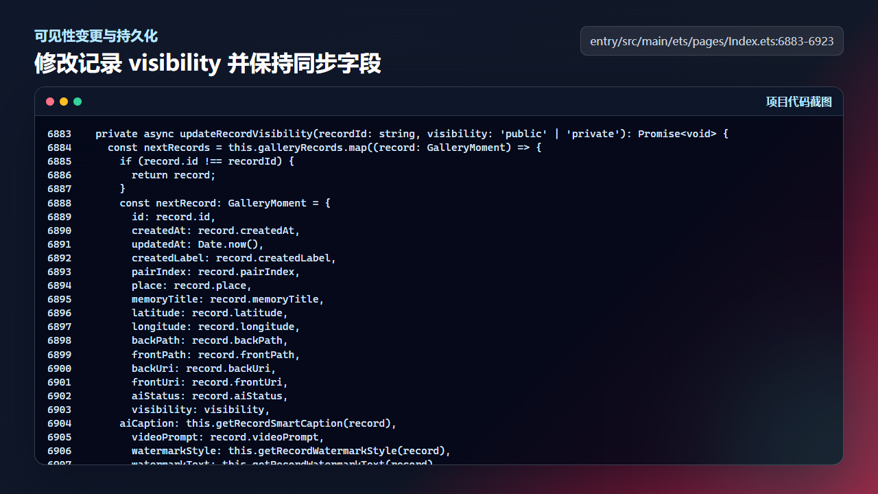 updateRecordVisibility 保留记录完整字段并写回本地存储