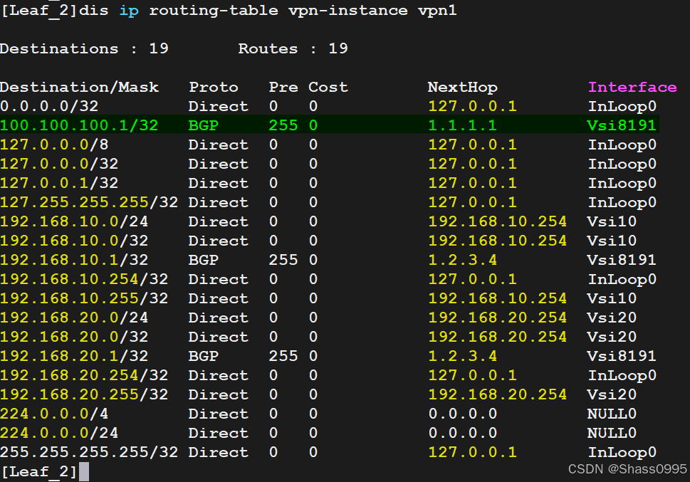 Leaf_2_ipv4_vpn-instance_vpn1_routes