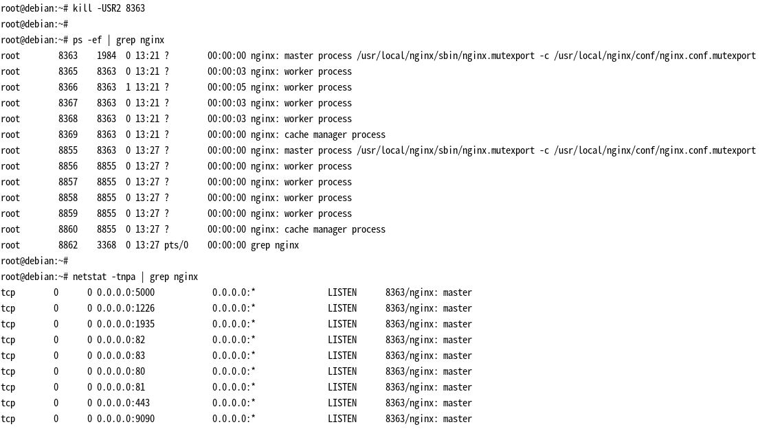 拉起新的 master 进程和 worker 进程