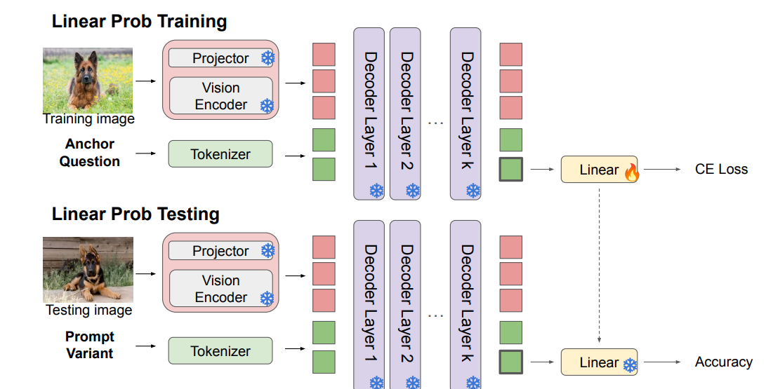 Linear probing at decoder layer k