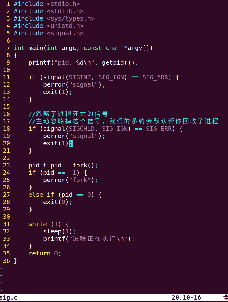 Linux多进程多线程编程-CSDN博客