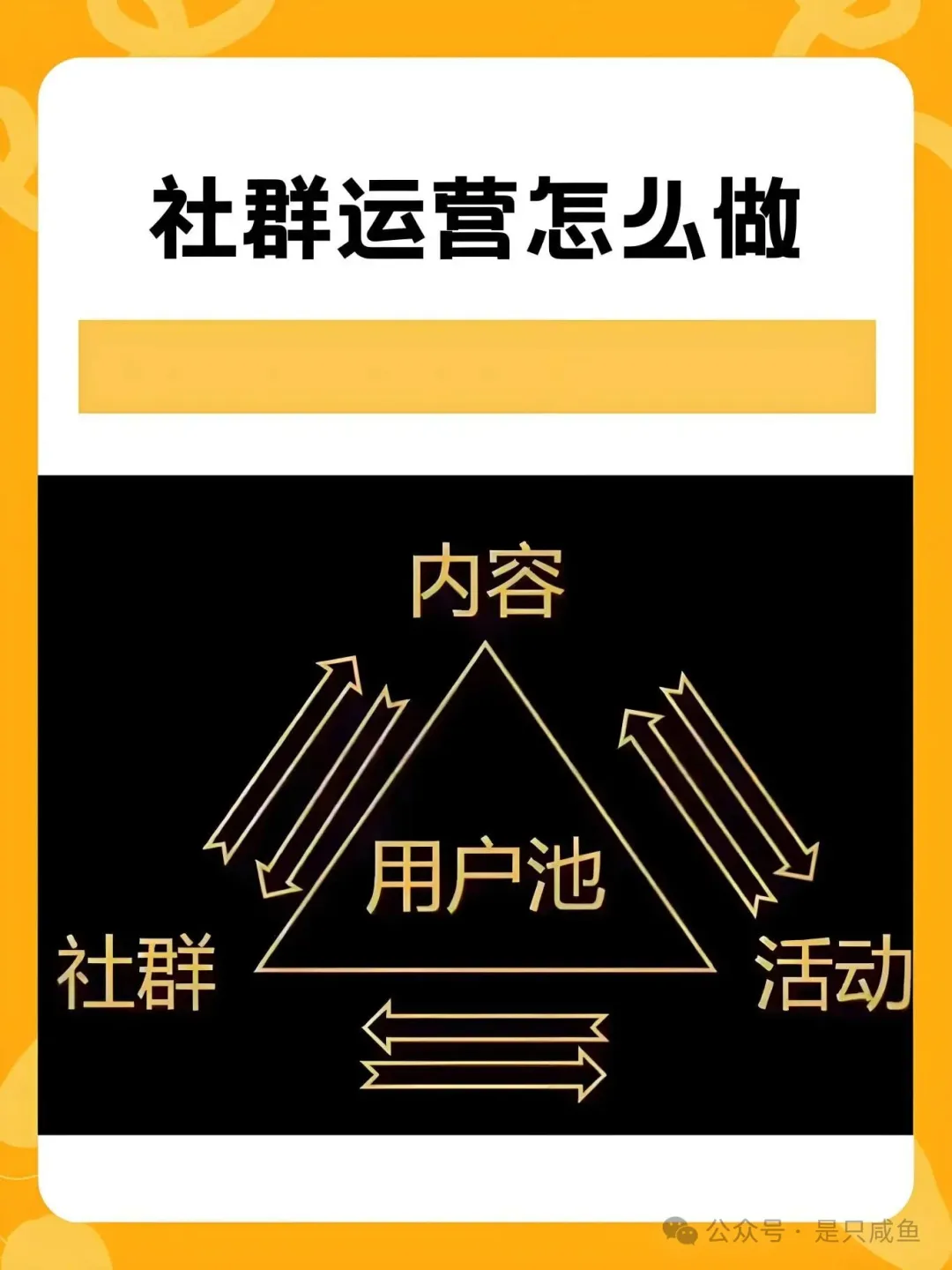 14a457b5-ab3b-4224-aa6c-314ee3b3e717.jpg