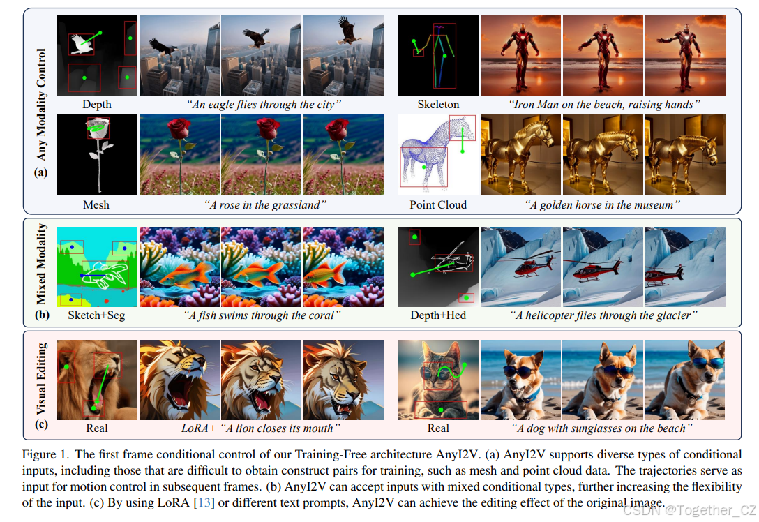 AnyI2V: Animating Any Conditional Image with Motion Control——通过运动控制为任意 ...