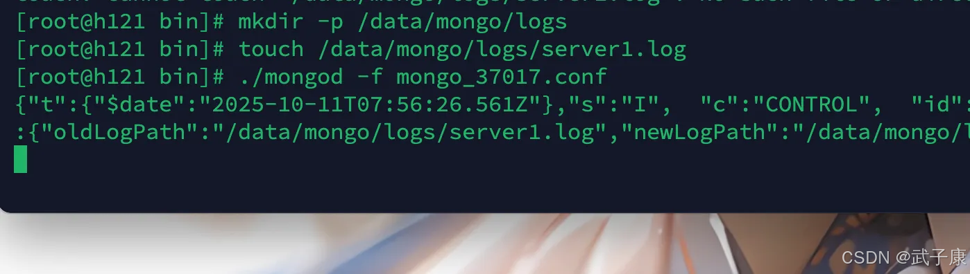 启动MongoDB主节点